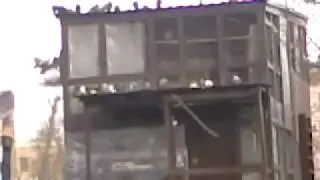 Эрмитаж! Каретный Ряд!  Голубятня!!!