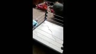 Daddy daughter doll wrestling time in the wwe ring