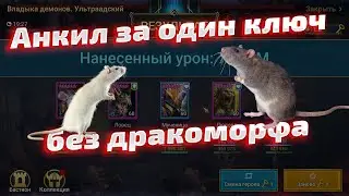 Топ анкил за 1 ключ, 3,4,5,6 кб без дракоморфа