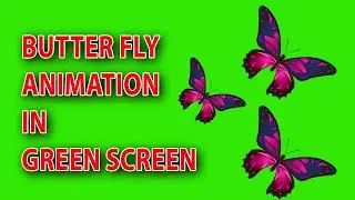 Green screen Butterfly