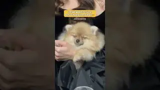 Самое спокойное место - у мамы под крылом🤍 