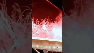 Celebration in qatar after becoming Asian Football champion