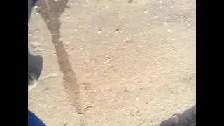 Моя прогулка на улице...
