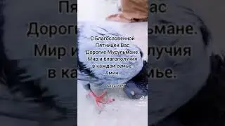 26 сентября 2023 г.