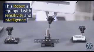 Robot uses sensitivity and machine learning - Its business time
