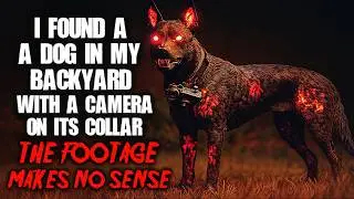 "I Found A Dog In My Backyard With A Camera On Its Collar. The Footage Makes No Sense" Creepypasta