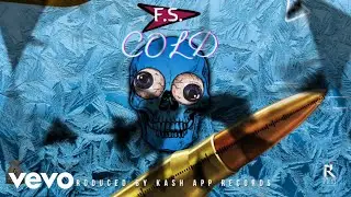 F.S. - Cold (Audio Visualizer)
