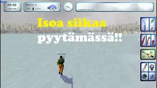 Pro Pilkki 2 Isoa siikaa pyytämässä.