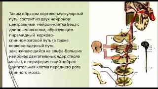 А.Г. Маликова 