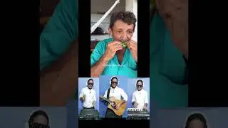 remix com o Zé da folha! o cara tira um som animal com a folhinha de árvore 😂😂🍃🎶