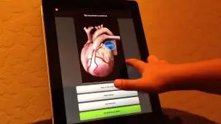 Six year old using Anatomy Quiz Pro for iPad