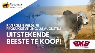 Moet nie uitmis op Riverglen Wildlife se 6de produksieveiling nie