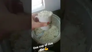 One cup of rice diet.