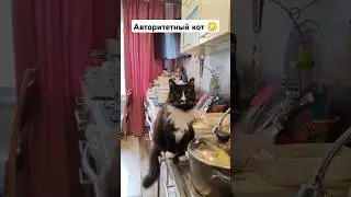 Его авторитет был огромен...