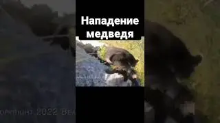Нападение медведя на человека 