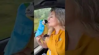 З Днем Незалежності України 🇺🇦#ukraine #independenceday