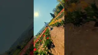 Insta360 X4 + 🌷? Magia assicurata 🪄 ​@insta360 #insta360X4 #tulipani *ADV