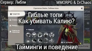 Summoners War: Chronicles - Гиблые топи, как убивать Калию? Тайминги и поведение.