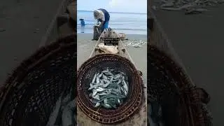 kekayaan alam luar biasa,ikan mentawai luar biasa,nelayan luar biasa #mentawai#nelayan#alam#kekayaan