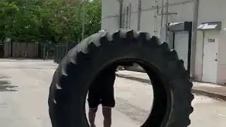 УЗИДАН КАТТА БАЛОННИ КУТАРДИ РАМЕРО #26