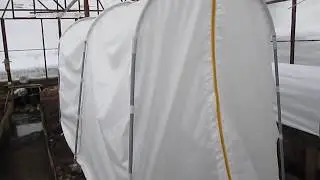 Обзор парника для огурцов и помидоров высотой 150 см  от Даяс
