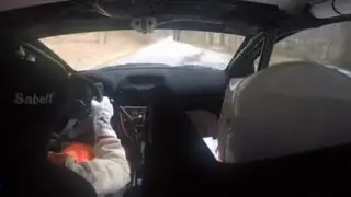 Під час ралі машина дивом не збила оленя