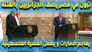 تبون في مصر يصف الجزائريين بالفتنة يهاجم الامارات و يطعن القضية الفلسطينية