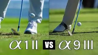 Which SONY Flagship Camera Is Right For YOU? Sony A1 II vs A9 III