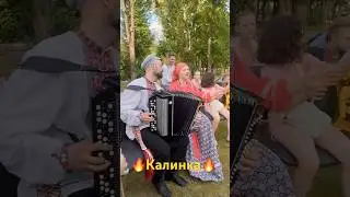 🔥Песни у костра🪗под баян👉КАЛИНКА #русскаяпесня #калинка #песниподбаян #песниукостра #отдых
