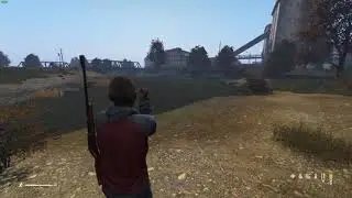 DayZ - система боя