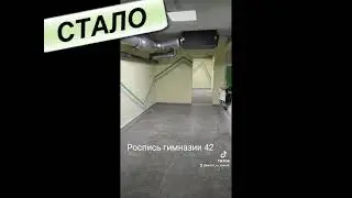 Роспись стен Запорожье Гимназия 42