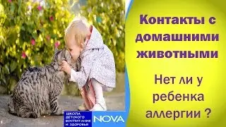 Контакты с домашними животными. Нет ли у ребенка аллергии ?.