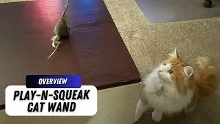 How to keep your cat happy with a Cat Wand