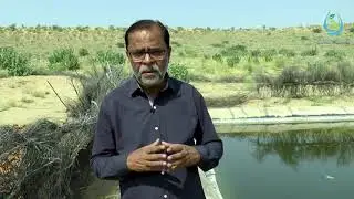 Thar Fish Farm