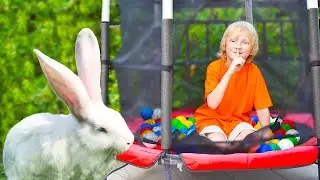 Дамиан и папа играют в прятки с волшебным кроликом / Hide and seek with white rabbit