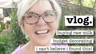 DIY Decorating + AMAZING FIND + Buying Raw Milk - VLOG Over 50