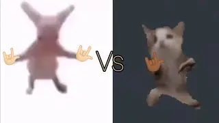 Битбокс батл кота Шнапи и ещё одного флексящего кота