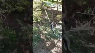 Person is doing flips while highlining in the woods!