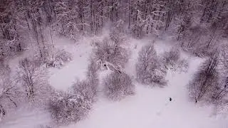 Лес у деревни Дальнерусаново. /Forest, deep snow, near the abandoned village of Dalnerusanovo.