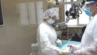 Отработка в сложных условиях для визуализации