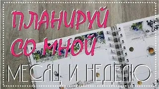 Мой ежедневник: планируй со мной НОЯБРЬ и первую его неделю