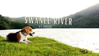 Swanee River | Violin Star Book 1 | Play Along