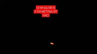 Они были в 5 метрах от нас! Пришли на заброшенную ВОЕННУЮ ЧАСТЬ. 