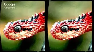 3D Extreme Effects 02 - Aquarium + Snake | 3D Side by Side SBS VR Virtual Reality