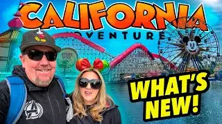 HUGE DCA UPDATE! Tons Of Changes, What’s New + The *Best* treat in the Park & one *Not* so Great..