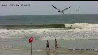 Late Morning - Surf Cam Rewind 05.11.2023