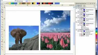 Уроки CorelDRAW: добавляем эффект прозрачности