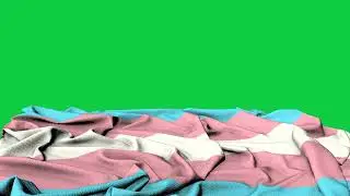 🏳️‍🌈 Transgender Pride Flag 🏳️‍🌈 | Green Screen | Chrome Matte