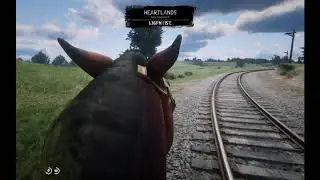 Red Dead Redemption 2 first-person (PC)