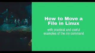 Linux: MV command